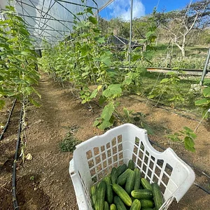 Ridge to Reef Farm