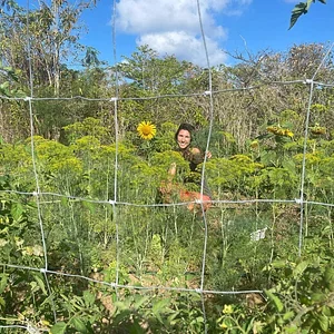 Ridge to Reef Farm
