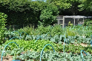 Tap o' Noth Farm