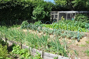 Tap o' Noth Farm