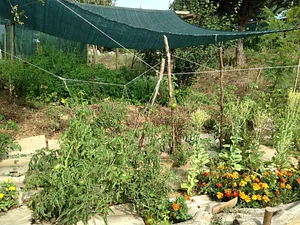 Belentepe Permaculture Practice and Wildlife Farm
