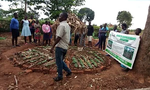 Umuntu Movement Uganda