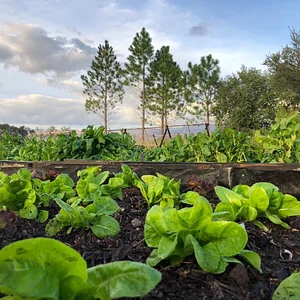 El Campanario - Finca Agroecológica