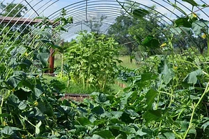 El Campanario - Finca Agroecológica