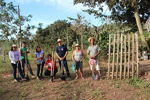 Rede de troca de Sementes Tradicionais - Foto 3