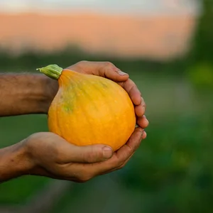 El Campanario - Finca Agroecológica