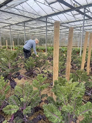 Seed Co-operative