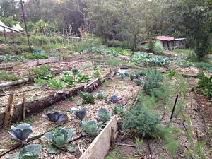 Finca Agroecologica La Flor