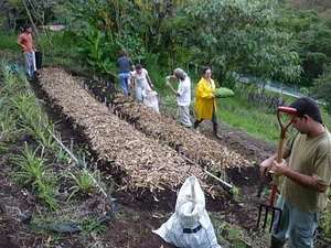 Finca Agroecologica La Flor