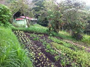 Finca Agroecologica La Flor