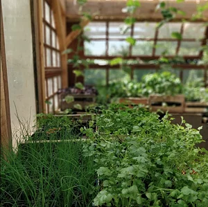 Ferme du Higas
