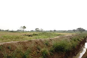 The Garden Estate