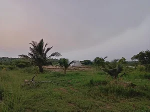 The Garden Estate