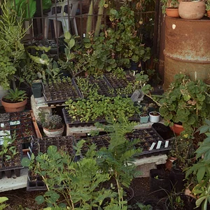 Mu̱'ta Biocultural
