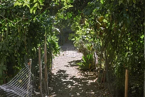 Mu̱'ta Biocultural