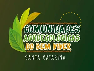 logo cabvs