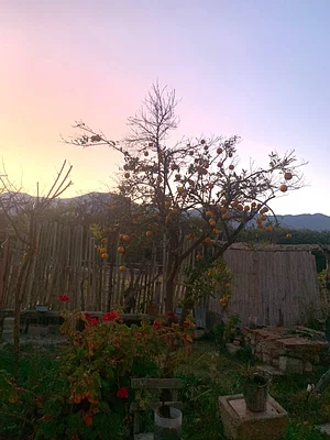 sunrise