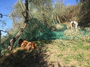 La Mandruzza