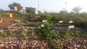 Demo herbal garden