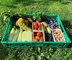Community supported agriculture (CSA)