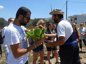Crete's Culinary Sanctuaries Educational Network, Greece