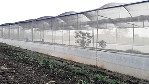 Polyhouse