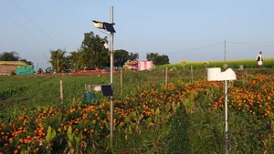 Smart agri solutions