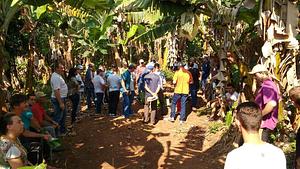 Núcleo Litoral Solidário da Rede Ecovida de Agroecologia