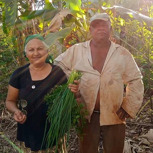 Cesta Agroecológica Solidária