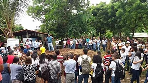 SAF´s de frutíferas e hortaliças