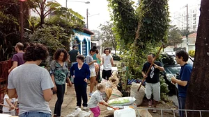 Roça de Rua 2