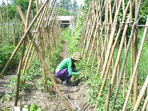 Catedra de Agroecología La Plata 5