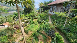 Kebun Hanif Regenerative Culture