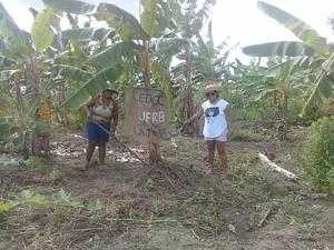 Plantando na UFRB