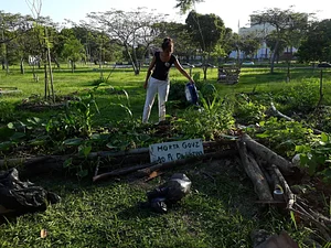 Sistema Florestal Paisagístico Agroecológico 2