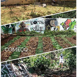 Hortas Urbanas da Planta na Rua RJ 5