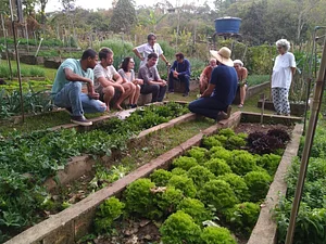 Horta Agroecológica Ipanema 5
