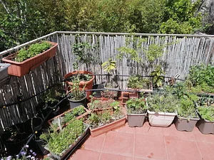 Agroécologie et Permaculture en Occitanie 3