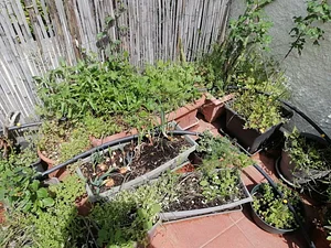 Agroécologie et Permaculture en Occitanie 5