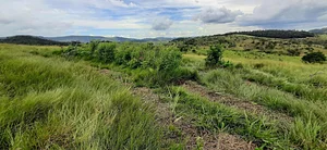 Terra Prometida Agrofloresta