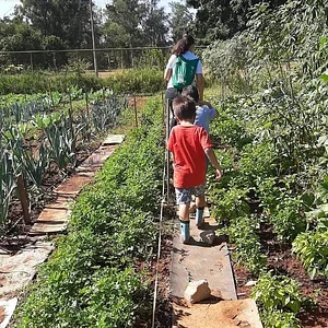 Horta Comunitária do Guará 7